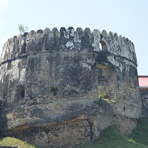 zanzi32.jpg