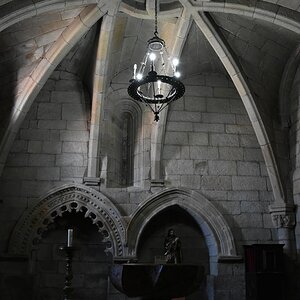 DSC_7457 (Copiar).JPG