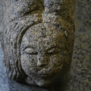 DSC_7458 (Copiar).JPG