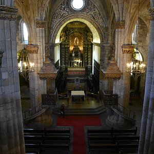 DSC_7480 (Copiar).JPG