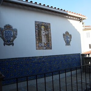 DSC_7540 (Copiar).JPG
