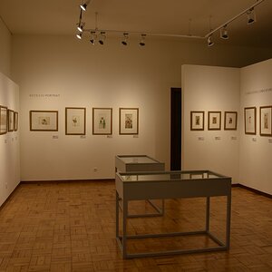 DSC_7550 (Copiar).JPG