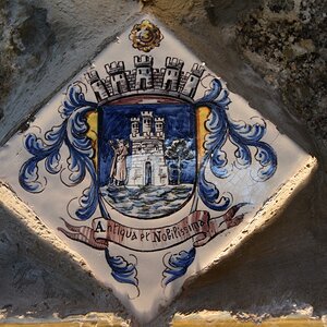 DSC_7553 (Copiar).JPG