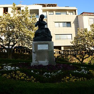 DSC_7555 (Copiar).JPG
