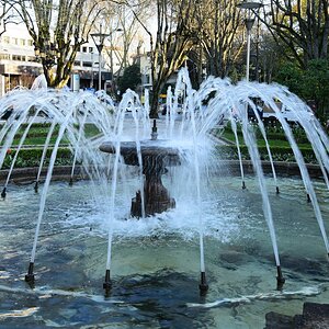 DSC_7563 (Copiar).JPG