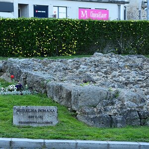 DSC_7571 (Copiar).JPG