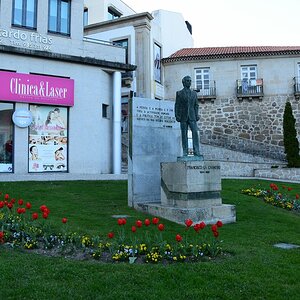 DSC_7572 (Copiar).JPG