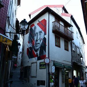 DSC_7575 (Copiar).JPG