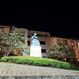 DSC_7616 (Copiar).JPG