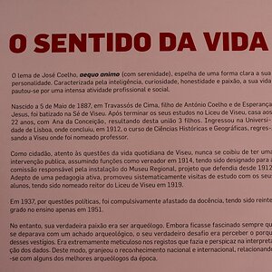DSC_7628 (Copiar).JPG