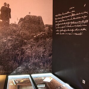 DSC_7631 (Copiar).JPG