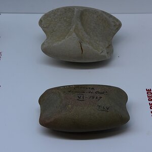 DSC_7636 (Copiar).JPG