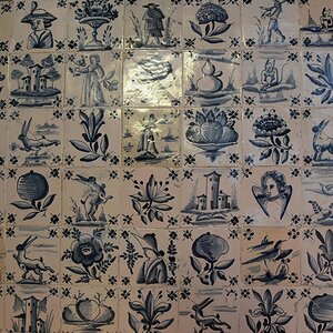 DSC_7643 (Copiar).JPG