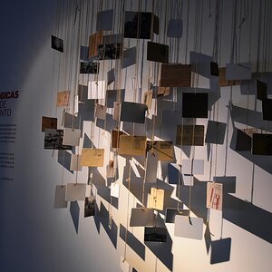 DSC_7644 (Copiar).JPG