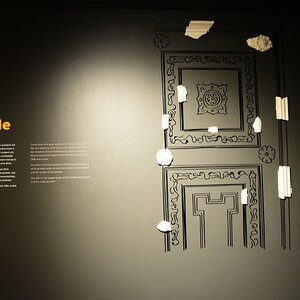 DSC_7654 (Copiar).JPG
