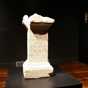 DSC_7655 (Copiar).JPG