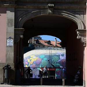 DSC_7660 (Copiar).JPG