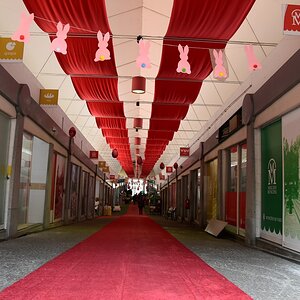 DSC_7663 (Copiar).JPG