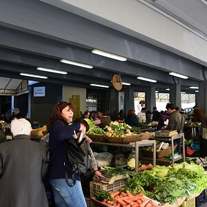 DSC_7664 (Copiar).JPG