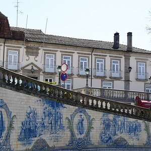 DSC_7666 (Copiar).JPG