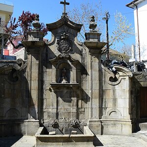 DSC_7668 (Copiar).JPG