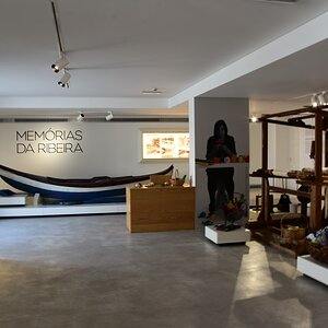 DSC_7681 (Copiar).JPG