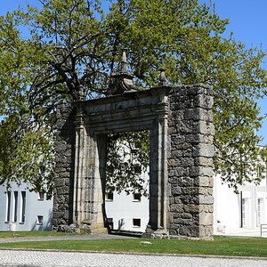 DSC_7706 (Copiar).JPG
