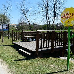 DSC_7713 (Copiar).JPG