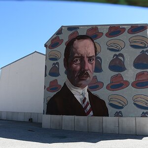 DSC_7674 (Copiar).JPG