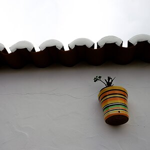 DSCF4410 (Copiar).jpg