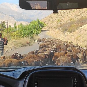 11 Alamut.jpg