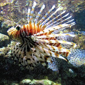 IMG_2476.JPG