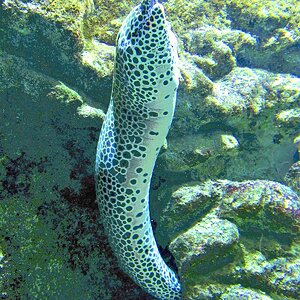 IMG_2479.JPG