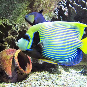 IMG_2489.JPG