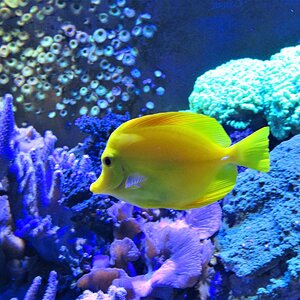 IMG_2582.JPG