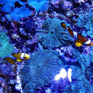 IMG_2584.JPG