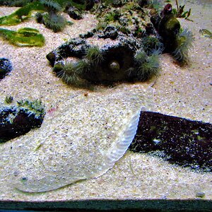 IMG_2640.JPG