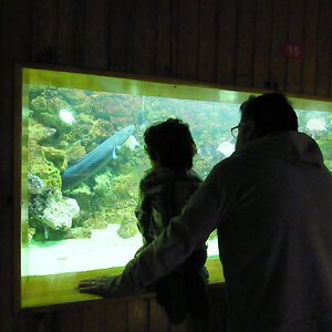 IMG_2659.JPG