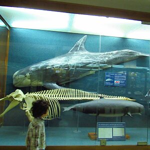 IMG_2683.JPG