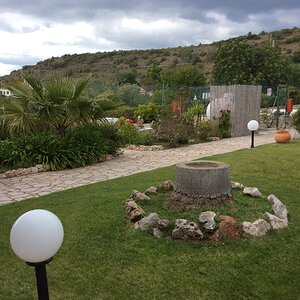 IMG_9096.jpg