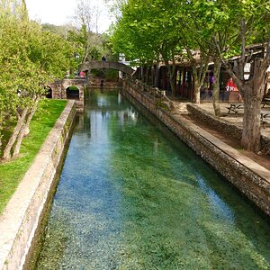 IMG_9106.jpg