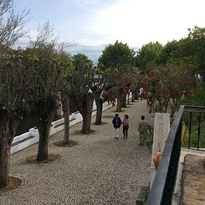 IMG_9130.jpg