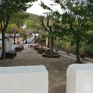 IMG_9141.jpg