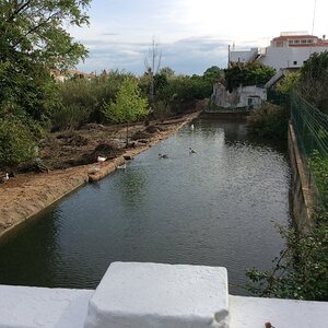 IMG_9144.jpg
