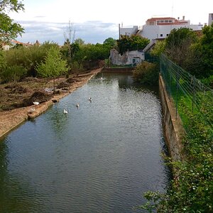 IMG_9145.jpg