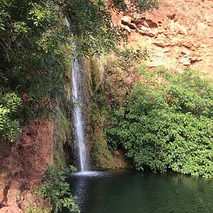 IMG_9156.jpg