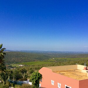 IMG_9173.jpg