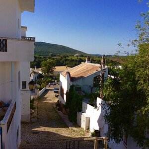 IMG_9183.jpg