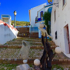 IMG_9184.jpg