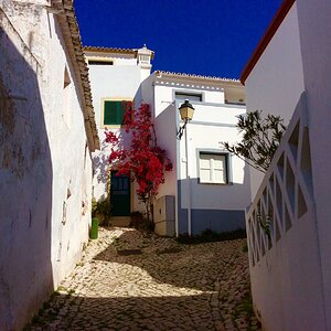 IMG_9200.jpg